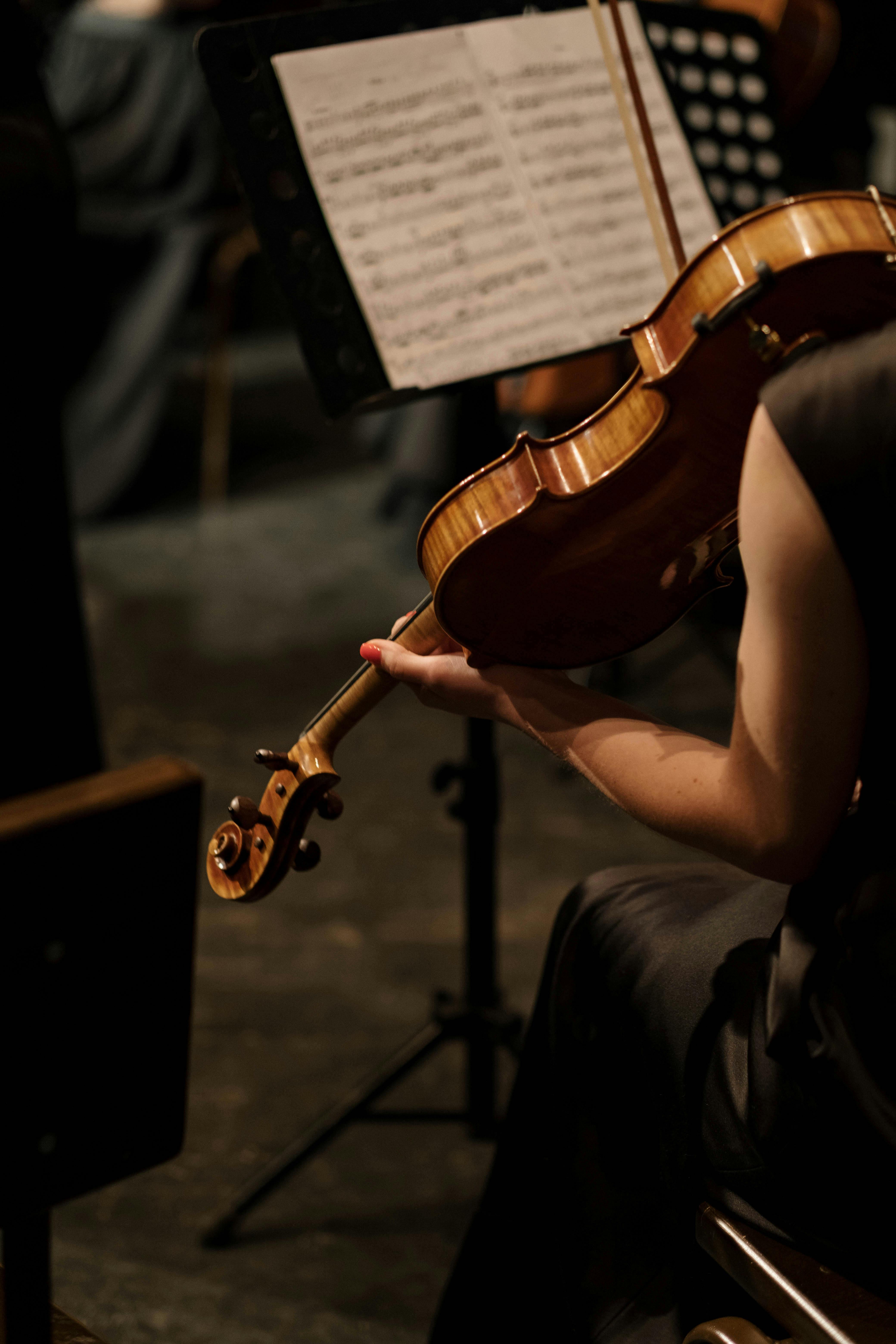 Viola